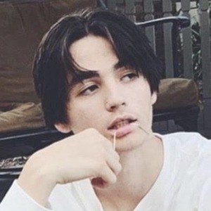 Noah Banks, 24 (TikTok-ster)