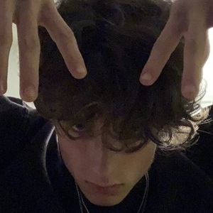 Noah Nelson image 4