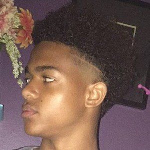 Noah Riley, 25 (Vine Star)