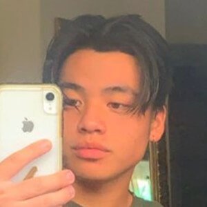 Noah Yang, 21 (TikTok Star)