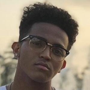 Noah Zulfikar image 5