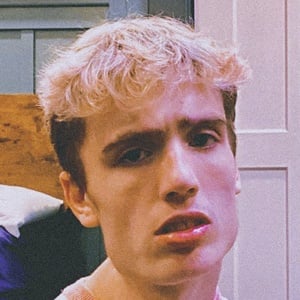 notlewy, 24 (TikTok Star)