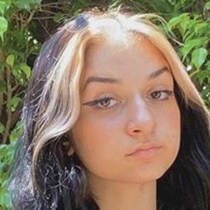 Nousha Vaghei image 5