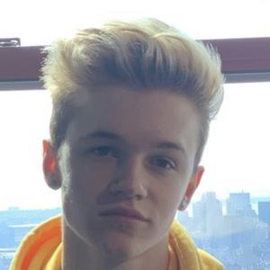 Oakley Orchard image 6