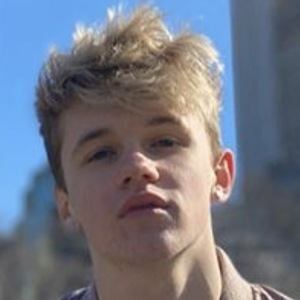 Oakley Orchard image 7