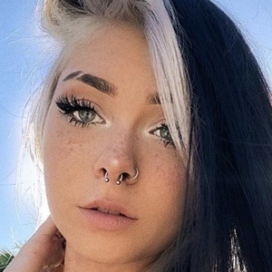 Okokveronica image 4