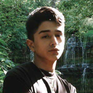 Ollie Shafei image 2