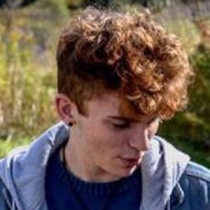 Ollie Steil image 4