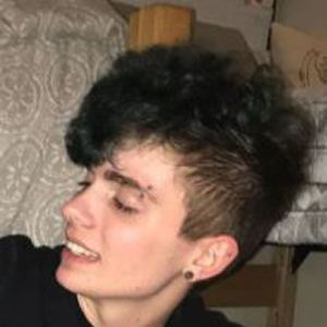 Ollie Steil image 5