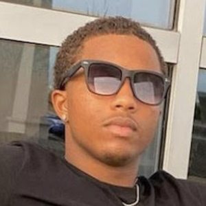 opm_stump, 24 (Звезда Тиктока)