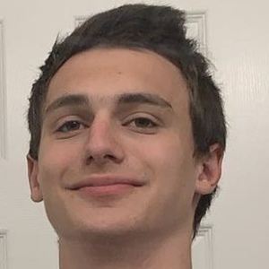 orangepeanut image 5