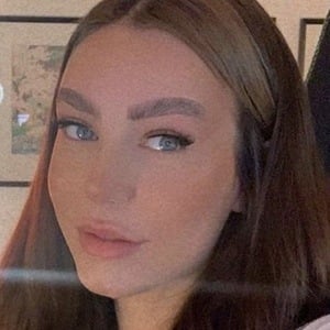 Paladin Amber image 4