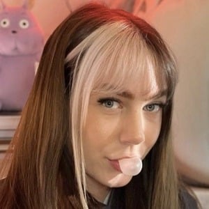 Paladin Amber image 5