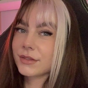 Paladin Amber image 6