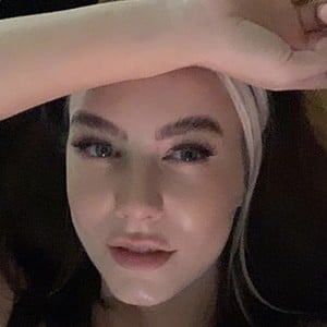 Paladin Amber image 7