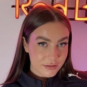 Paladin Amber image 8