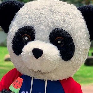 Panda Aventurero, 25 (YouTube Star)
