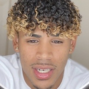 Papishampoo.tv image 5