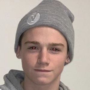 Payton Moormeier, 22 (TikTok明星)