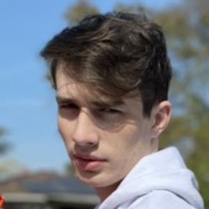 ПлаИисм image 4