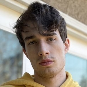 ПлаИисм image 6