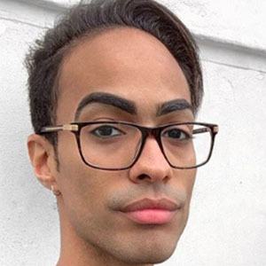 Pollito Tropical image 3