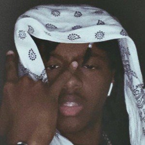 ProjectSupreme image 5