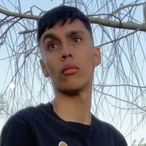 raccoonwithpizza, 20 (TikTok明星)