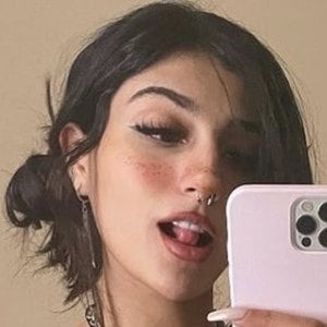 Ranya Lasagna image 3