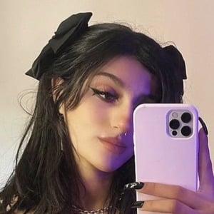 Ranya Lasagna image 5