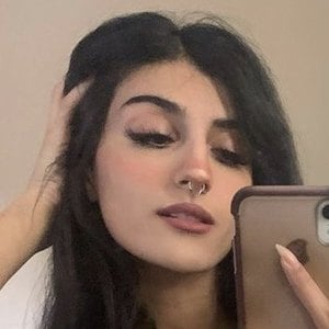 Ranya Lasagna image 7