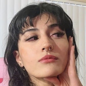 Ranya Lasagna image 8