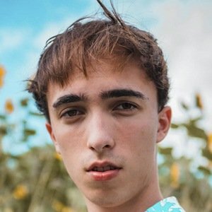 Razvan Gogan image 5