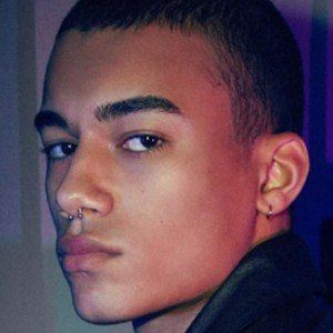 Reece King image 2
