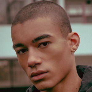 Reece King image 4