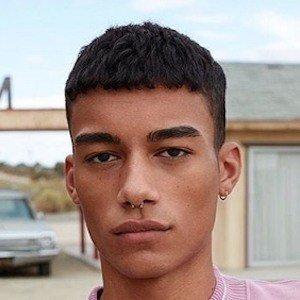 Reece King image 6
