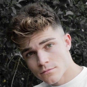 Riccardo Donzelli image 4