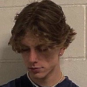 Riley Blanch, 24 (TikTok明星)