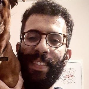 Rio The Staffie image 3