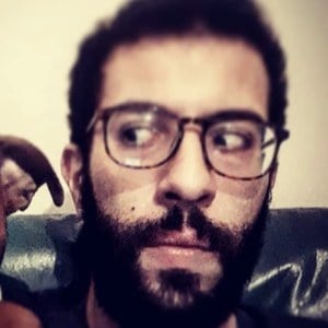 Rio The Staffie, 25 (Звезда Тиктока)