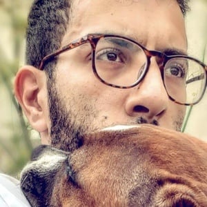 Rio The Staffie, 25 (TikTok明星)