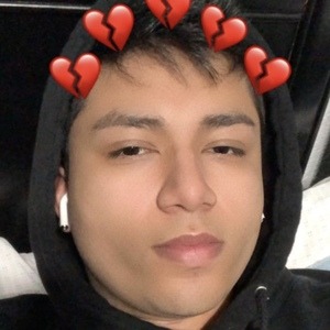 Rollexxx image 3