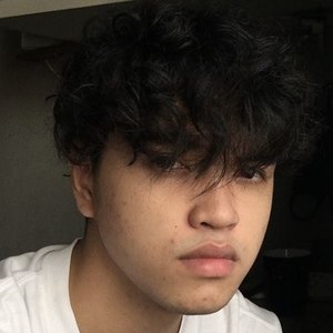 Ron Bonostro, 25 (Twitter Star)