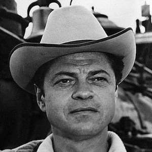 Ross Martin (1920 - 1981) (电视演员)