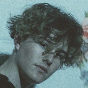 Ryland Storms, 25 (TikTok明星)
