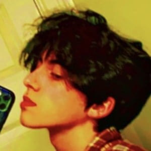 salamipapa, ? (TikTok Star)