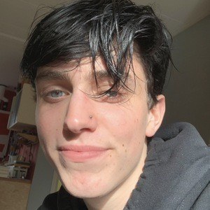 Sam van Dijk image 2