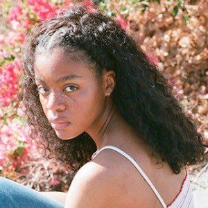 Samia Hampstead image 3