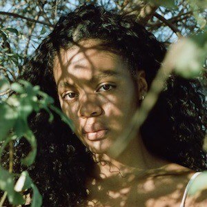 Samia Hampstead image 7