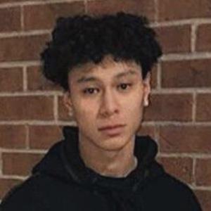 Samy Ha, 23 (TikTok明星)